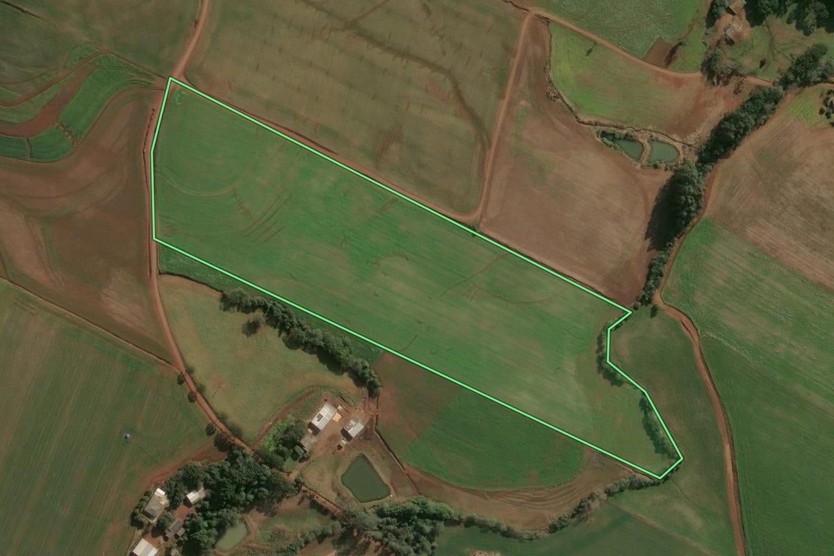 Imagem de satélite do imóvel rural em Campinas do Sul (RS), com o contorno declarado no CAR desenhado por cima.