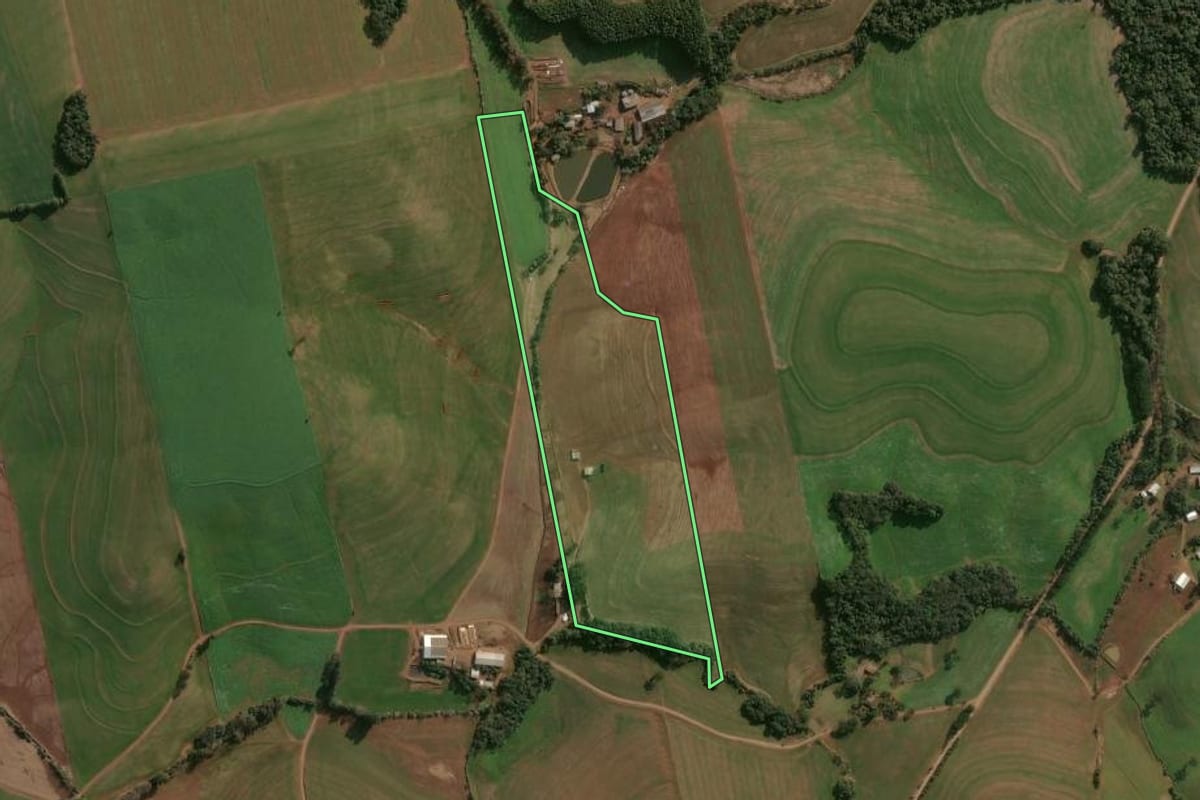 Imagem de satélite do imóvel rural em Campinas do Sul (RS), com o contorno declarado no CAR desenhado por cima.