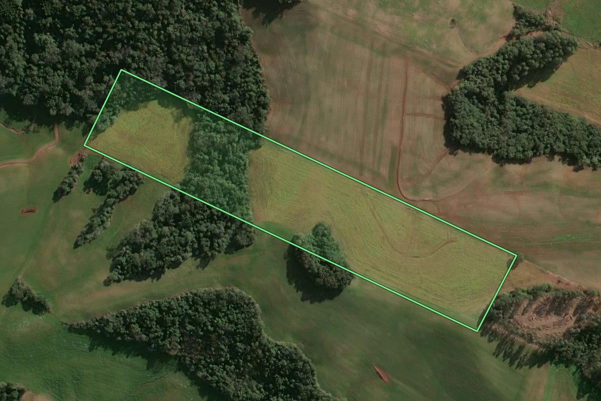 Imagem de satélite do imóvel rural em Campinas do Sul (RS), com o contorno declarado no CAR desenhado por cima.