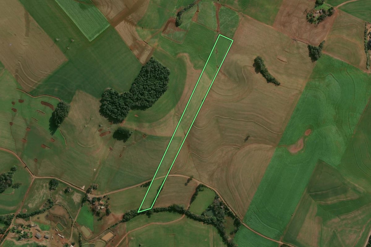 Imagem de satélite do imóvel rural em Campinas do Sul (RS), com o contorno declarado no CAR desenhado por cima.