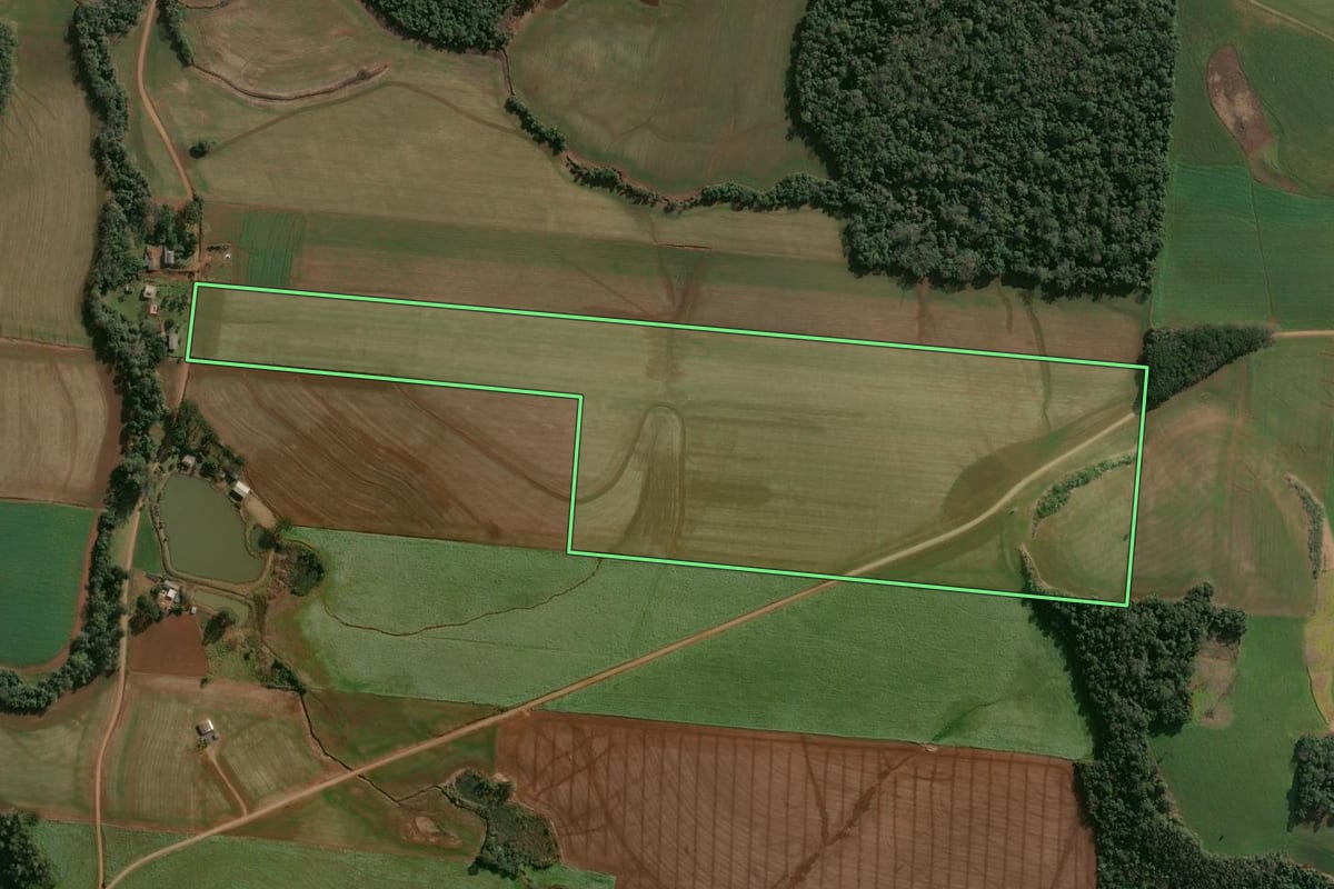 Imagem de satélite do imóvel rural em Campinas do Sul (RS), com o contorno declarado no CAR desenhado por cima.