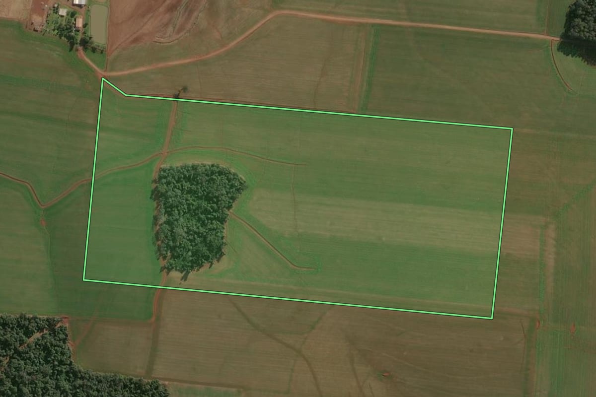Imagem de satélite do imóvel rural em Campinas do Sul (RS), com o contorno declarado no CAR desenhado por cima.