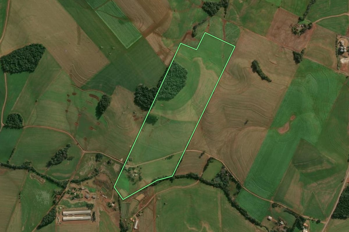 Imagem de satélite do imóvel rural em Campinas do Sul (RS), com o contorno declarado no CAR desenhado por cima.