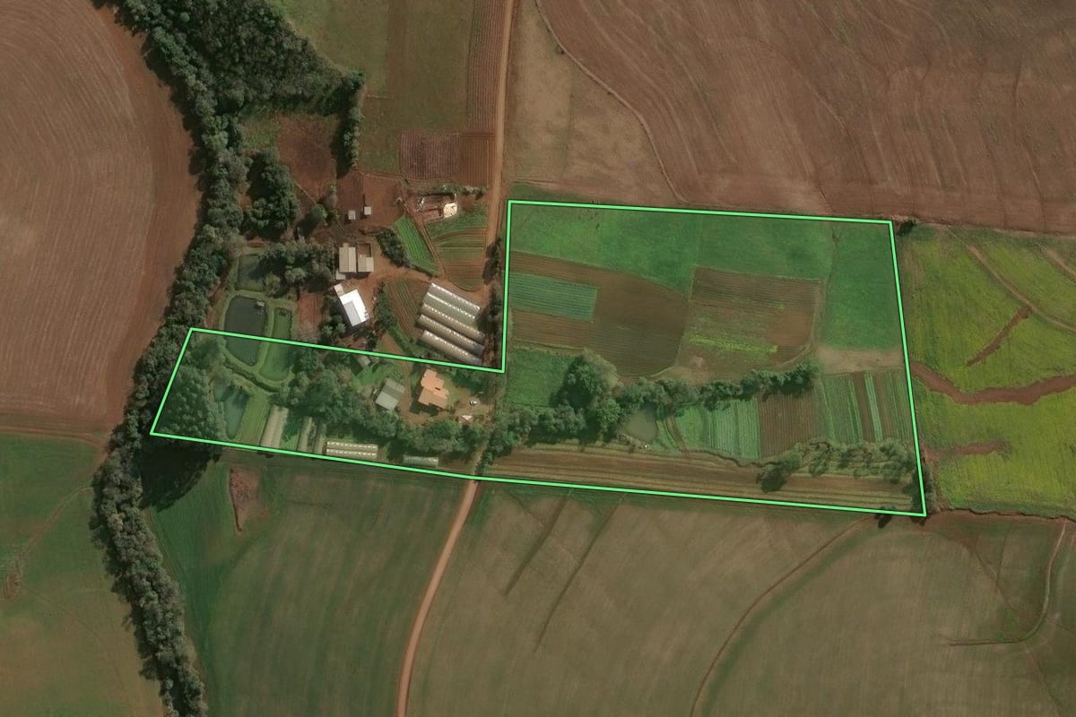 Imagem de satélite do imóvel rural em Campinas do Sul (RS), com o contorno declarado no CAR desenhado por cima.