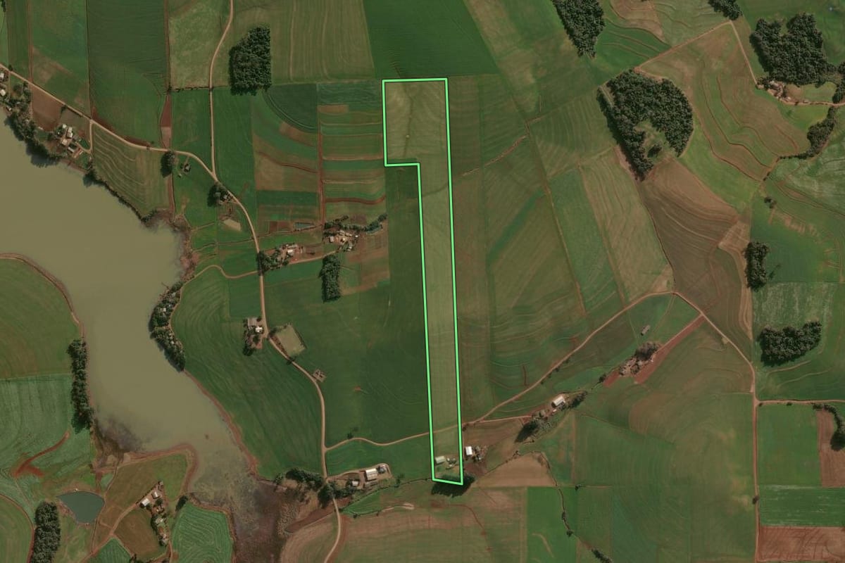 Imagem de satélite do imóvel rural em Campinas do Sul (RS), com o contorno declarado no CAR desenhado por cima.