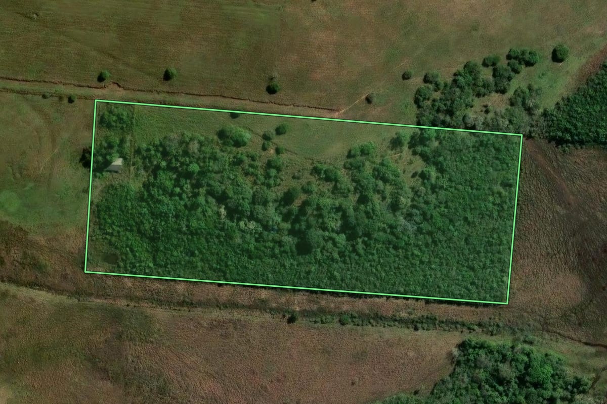 Imagem de satélite do imóvel rural em Campo Bom (RS), com o contorno declarado no CAR desenhado por cima.
