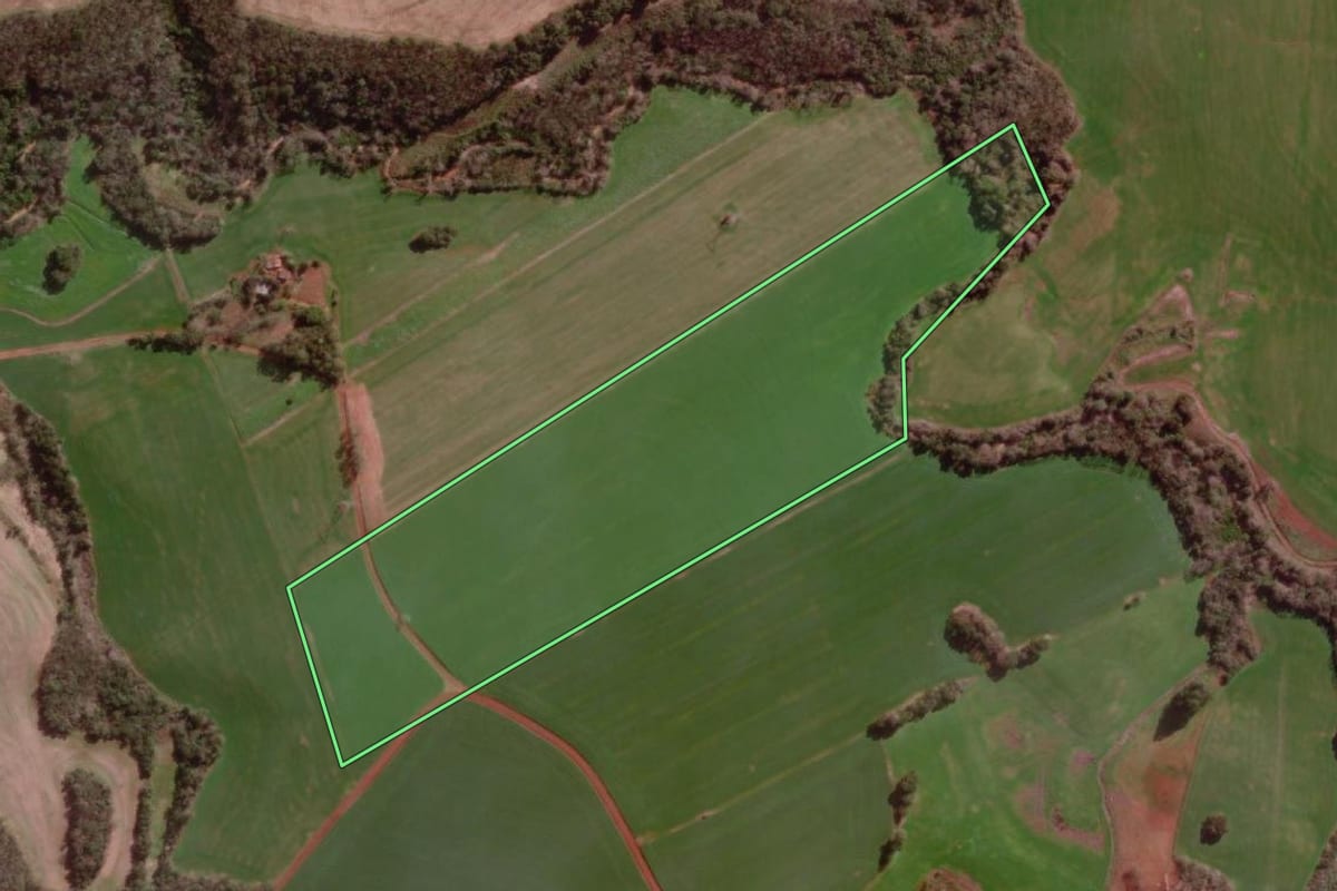 Imagem de satélite do imóvel rural em Campo Novo (RS), com o contorno declarado no CAR desenhado por cima.