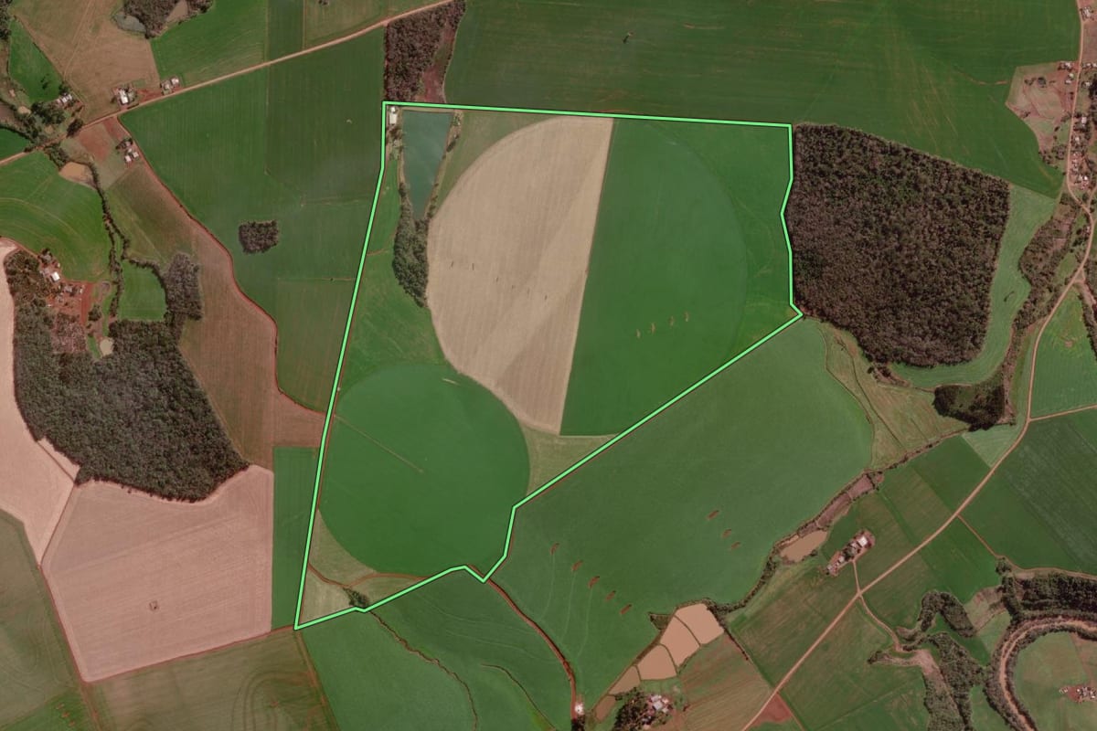 Imagem de satélite do imóvel rural em Campo Novo (RS), com o contorno declarado no CAR desenhado por cima.