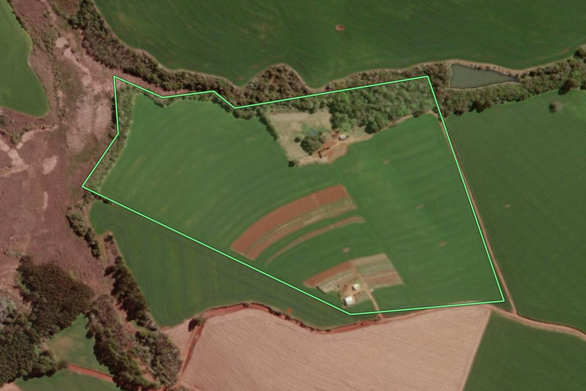 Imagem de satélite do imóvel rural em Campo Novo (RS), com o contorno declarado no CAR desenhado por cima.