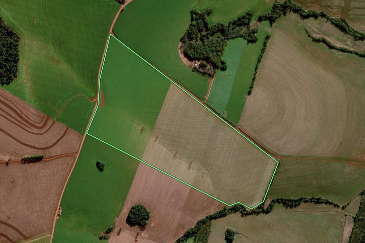 Imagem de satélite do imóvel rural em Campo Novo (RS), com o contorno declarado no CAR desenhado por cima.