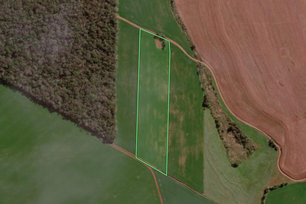 Imagem de satélite do imóvel rural em Campo Novo (RS), com o contorno declarado no CAR desenhado por cima.