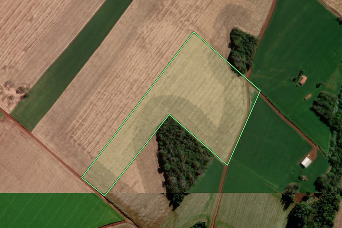 Imagem de satélite do imóvel rural em Campo Novo (RS), com o contorno declarado no CAR desenhado por cima.