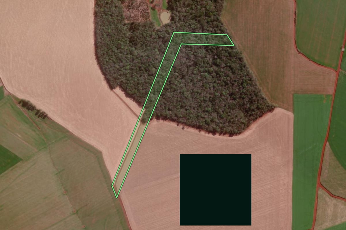 Imagem de satélite do imóvel rural em Campo Novo (RS), com o contorno declarado no CAR desenhado por cima.