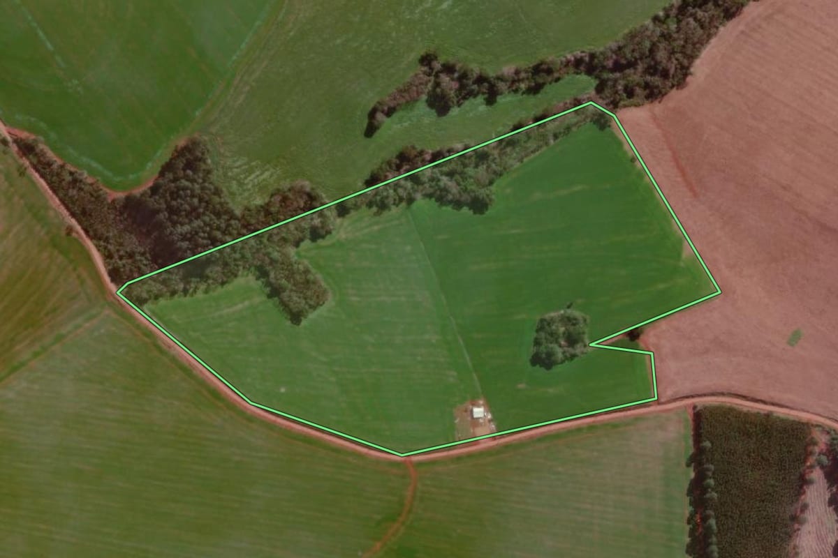 Imagem de satélite do imóvel rural em Campo Novo (RS), com o contorno declarado no CAR desenhado por cima.