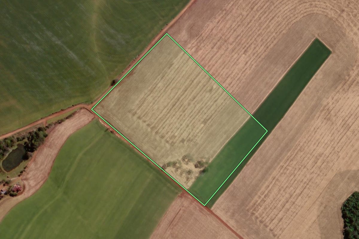 Imagem de satélite do imóvel rural em Campo Novo (RS), com o contorno declarado no CAR desenhado por cima.