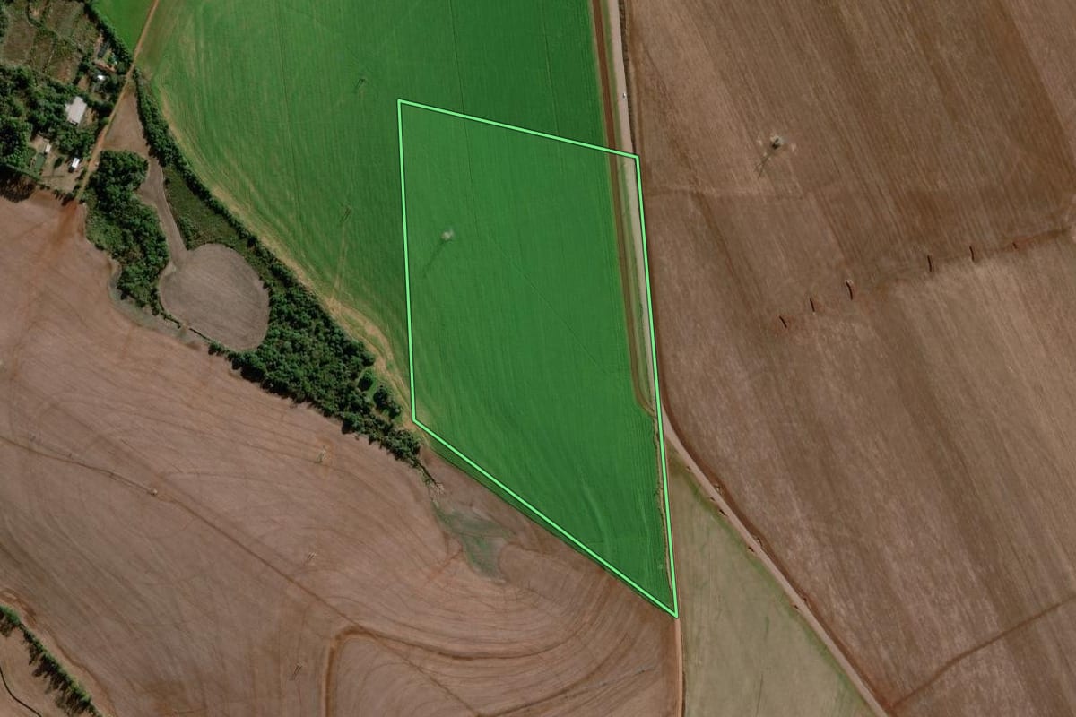 Imagem de satélite do imóvel rural em Campo Novo (RS), com o contorno declarado no CAR desenhado por cima.