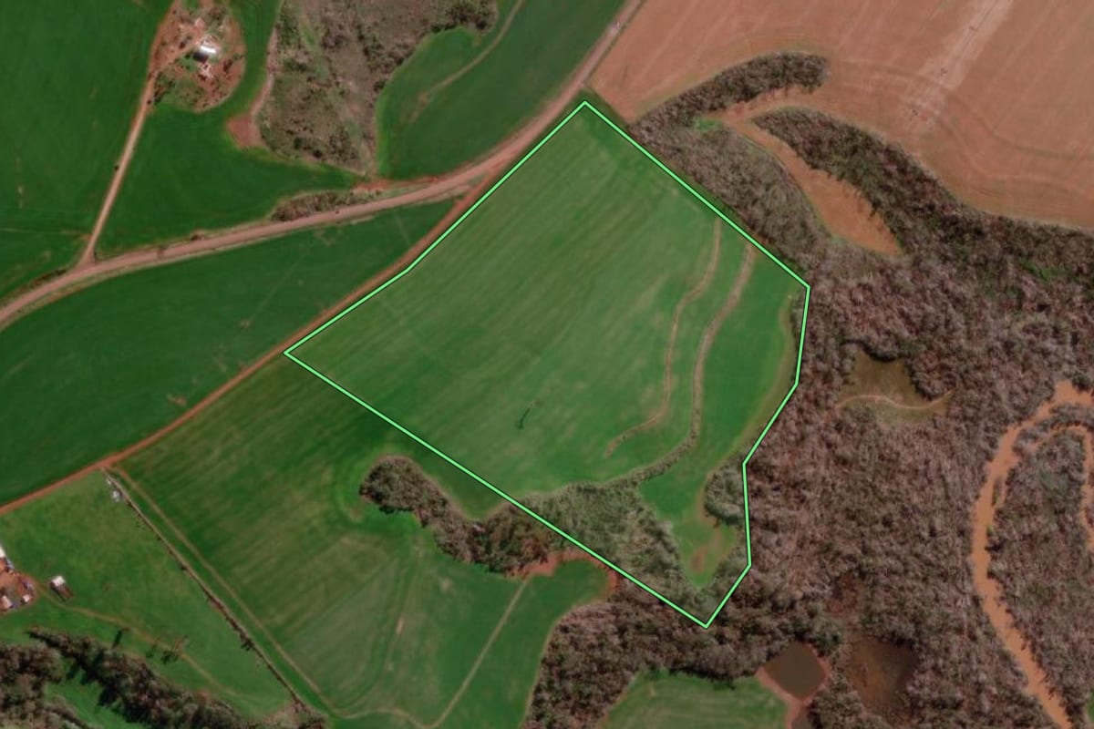 Imagem de satélite do imóvel rural em Campo Novo (RS), com o contorno declarado no CAR desenhado por cima.