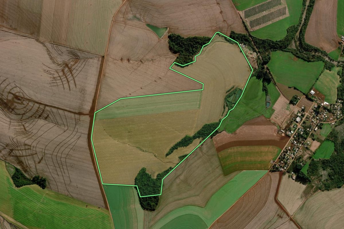 Imagem de satélite do imóvel rural em Campo Novo (RS), com o contorno declarado no CAR desenhado por cima.