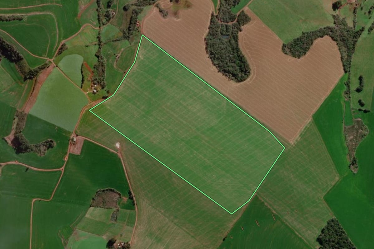 Imagem de satélite do imóvel rural em Campo Novo (RS), com o contorno declarado no CAR desenhado por cima.