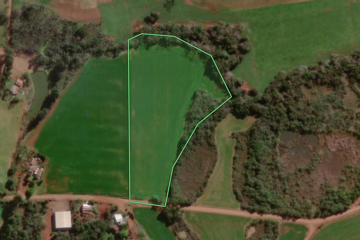 Imagem de satélite do imóvel rural em Campo Novo (RS), com o contorno declarado no CAR desenhado por cima.