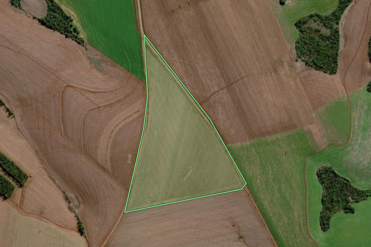 Imagem de satélite do imóvel rural em Campo Novo (RS), com o contorno declarado no CAR desenhado por cima.