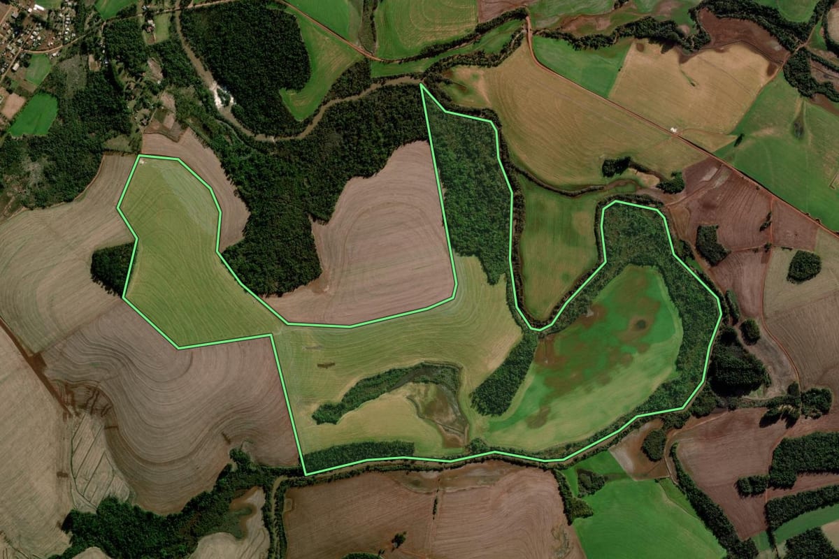 Imagem de satélite do imóvel rural em Campo Novo (RS), com o contorno declarado no CAR desenhado por cima.