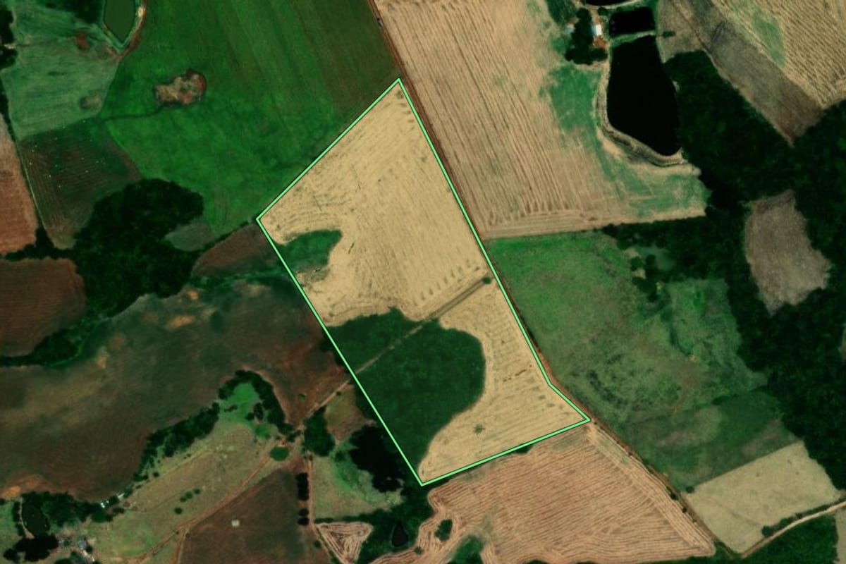 Imagem de satélite do imóvel rural em Campos Borges (RS), com o contorno declarado no CAR desenhado por cima.