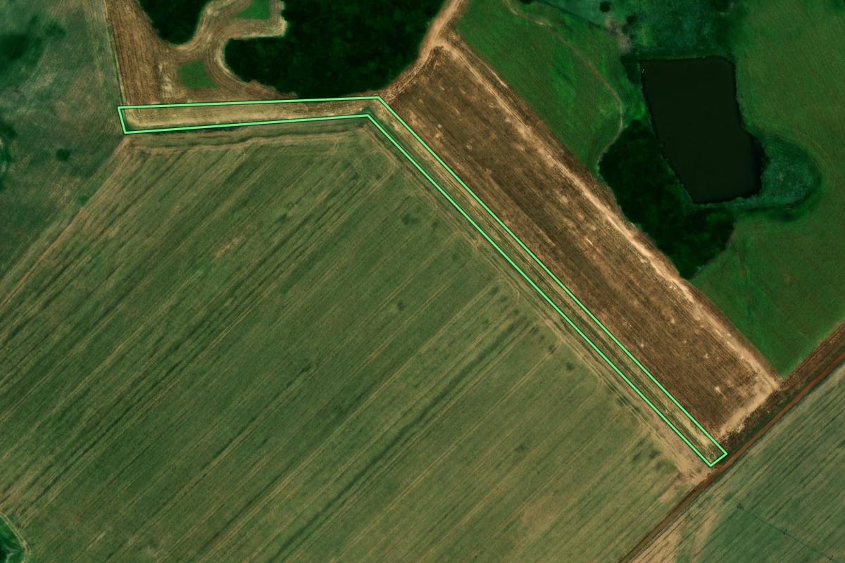 Imagem de satélite do imóvel rural em Campos Borges (RS), com o contorno declarado no CAR desenhado por cima.