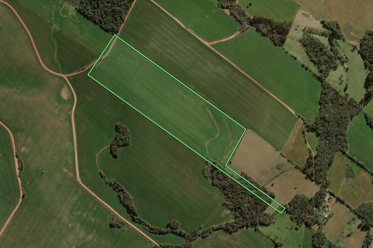 Imagem de satélite do imóvel rural em Campos Borges (RS), com o contorno declarado no CAR desenhado por cima.