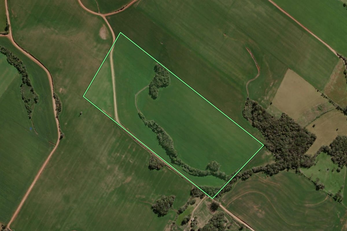 Imagem de satélite do imóvel rural em Campos Borges (RS), com o contorno declarado no CAR desenhado por cima.