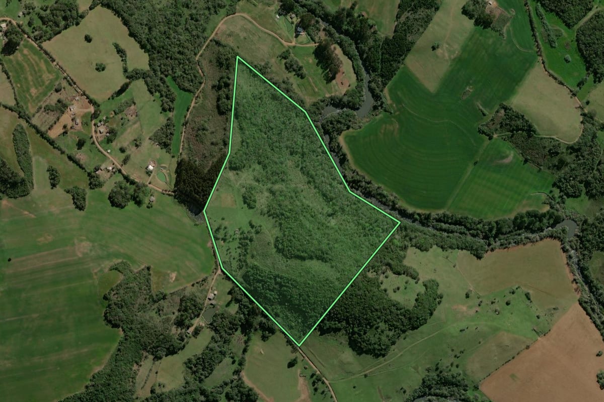 Imagem de satélite do imóvel rural em Campos Borges (RS), com o contorno declarado no CAR desenhado por cima.