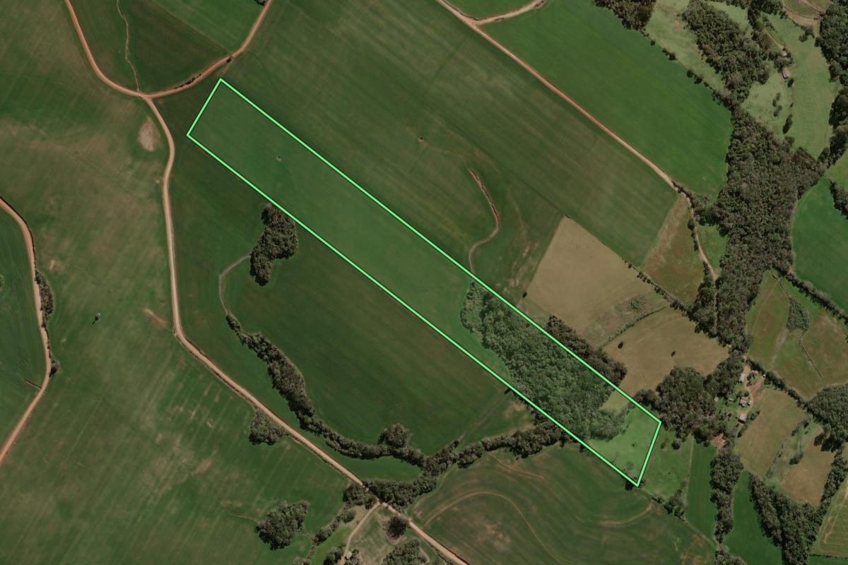 Imagem de satélite do imóvel rural em Campos Borges (RS), com o contorno declarado no CAR desenhado por cima.