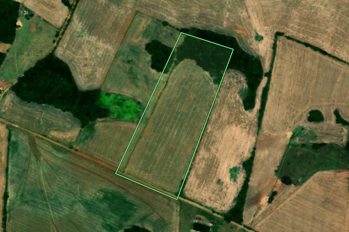 Imagem de satélite do imóvel rural em Campos Borges (RS), com o contorno declarado no CAR desenhado por cima.