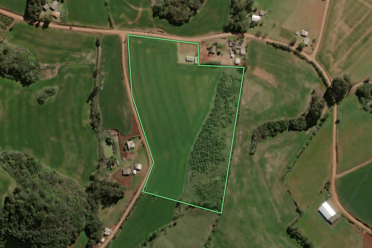 Imagem de satélite do imóvel rural em Campos Borges (RS), com o contorno declarado no CAR desenhado por cima.