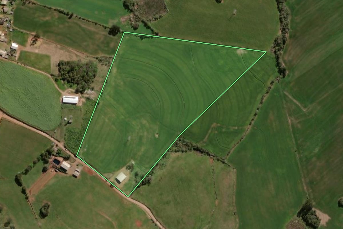 Imagem de satélite do imóvel rural em Campos Borges (RS), com o contorno declarado no CAR desenhado por cima.