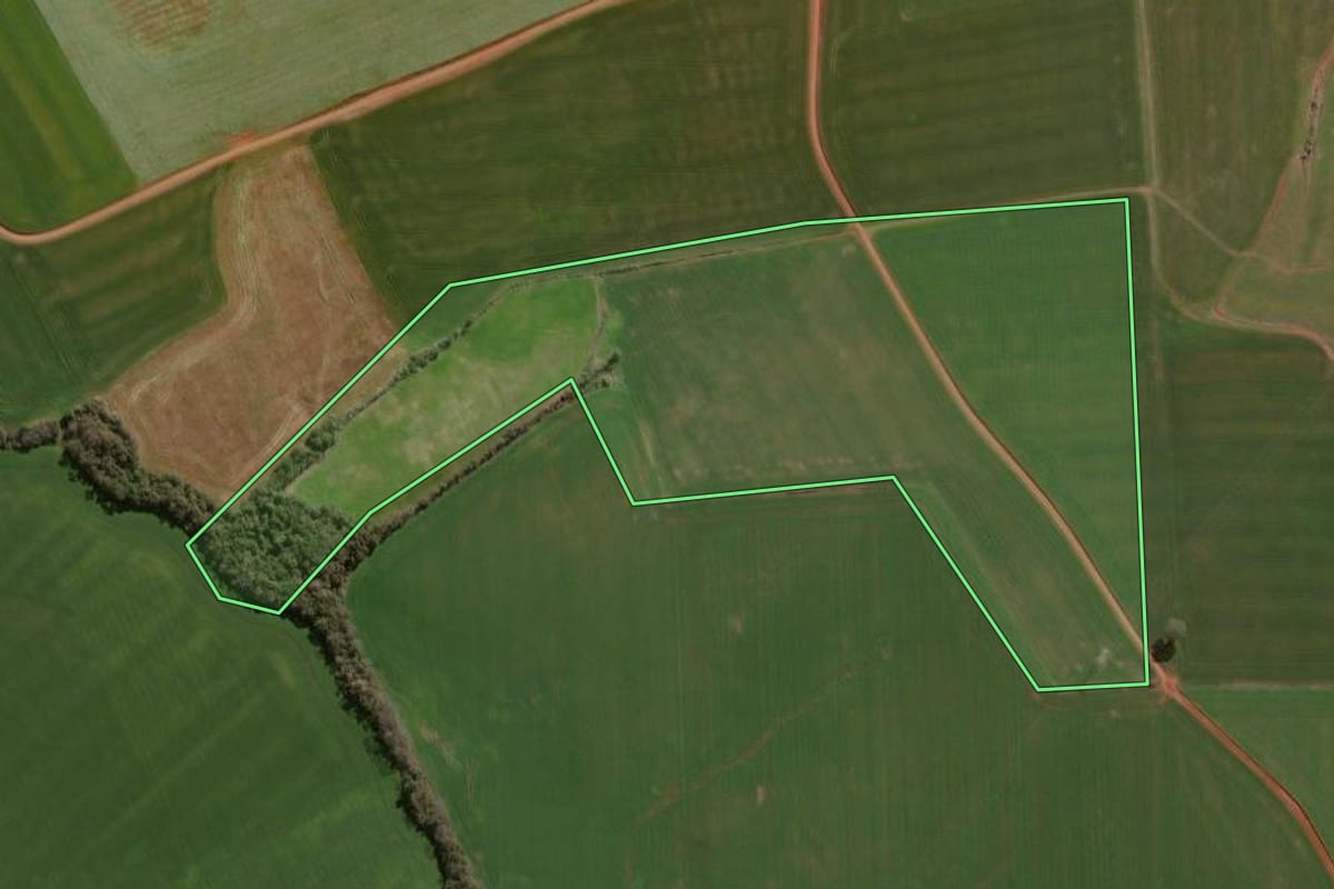 Imagem de satélite do imóvel rural em Campos Borges (RS), com o contorno declarado no CAR desenhado por cima.