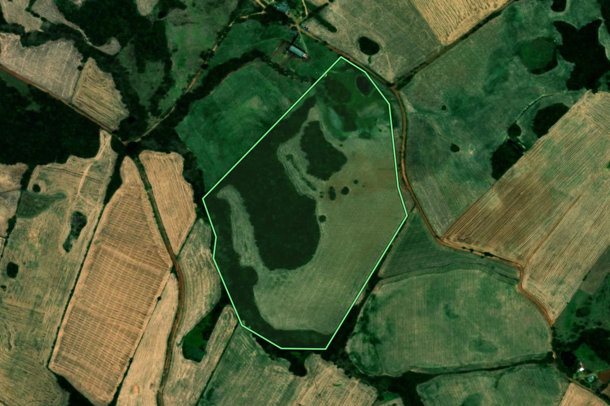Imagem de satélite do imóvel rural em Campos Borges (RS), com o contorno declarado no CAR desenhado por cima.