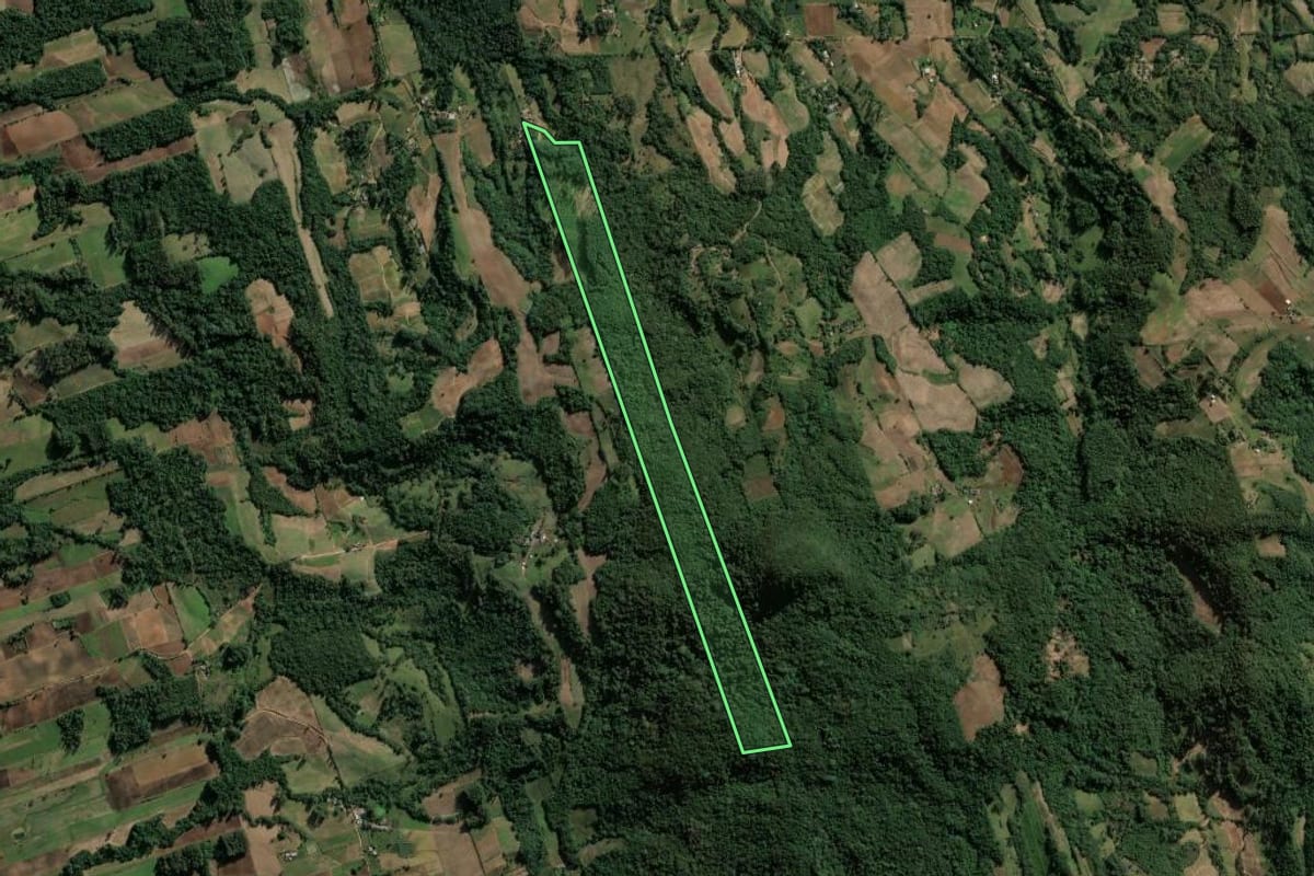 Imagem de satélite do imóvel rural em Candelária (RS), com o contorno declarado no CAR desenhado por cima.