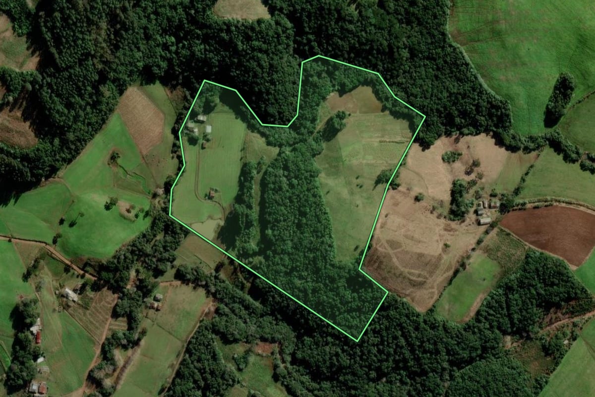 Imagem de satélite do imóvel rural em Candelária (RS), com o contorno declarado no CAR desenhado por cima.