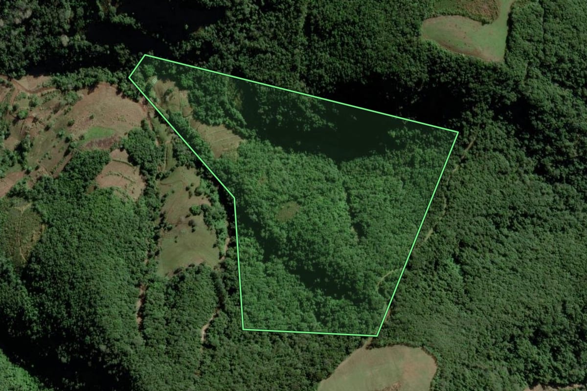 Imagem de satélite do imóvel rural em Candelária (RS), com o contorno declarado no CAR desenhado por cima.