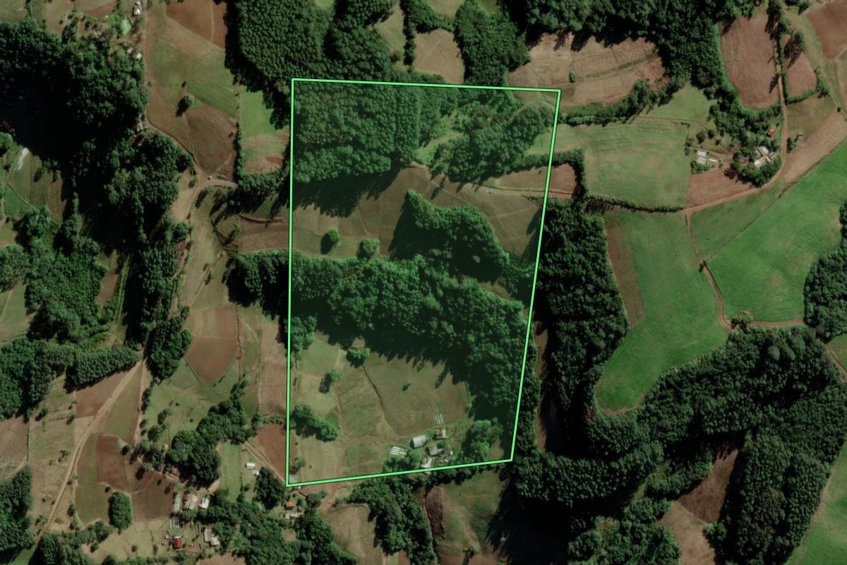Imagem de satélite do imóvel rural em Candelária (RS), com o contorno declarado no CAR desenhado por cima.