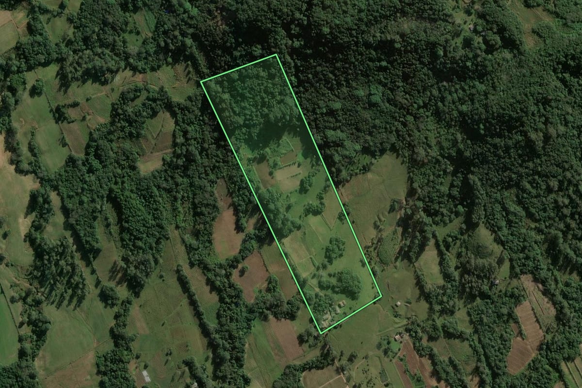 Imagem de satélite do imóvel rural em Candelária (RS), com o contorno declarado no CAR desenhado por cima.