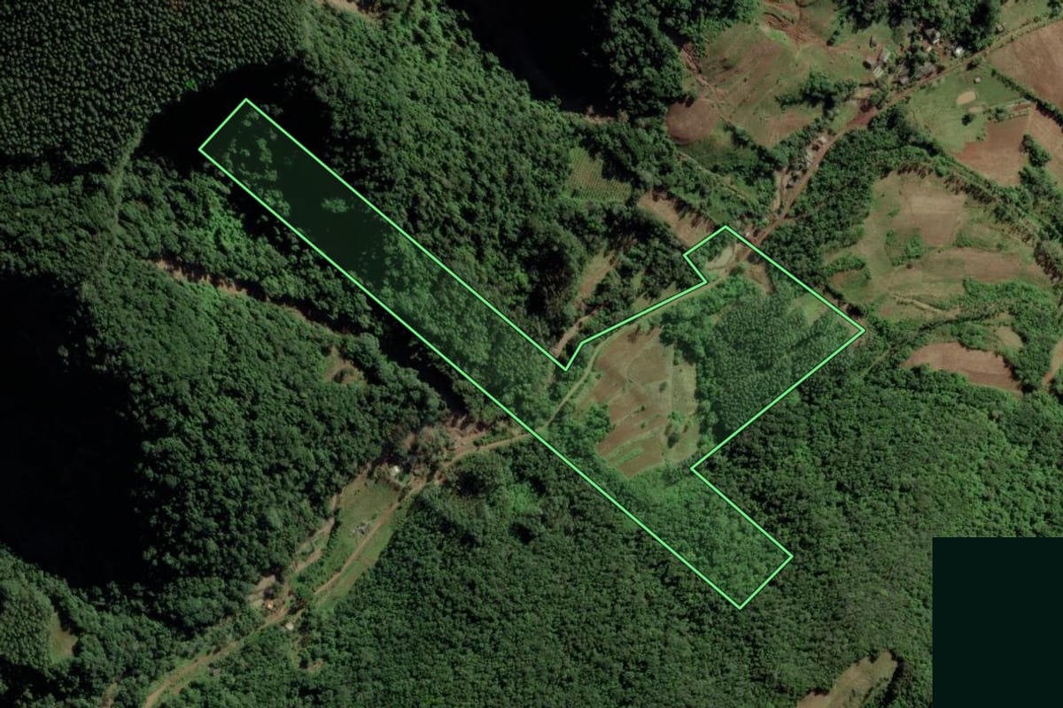 Imagem de satélite do imóvel rural em Candelária (RS), com o contorno declarado no CAR desenhado por cima.