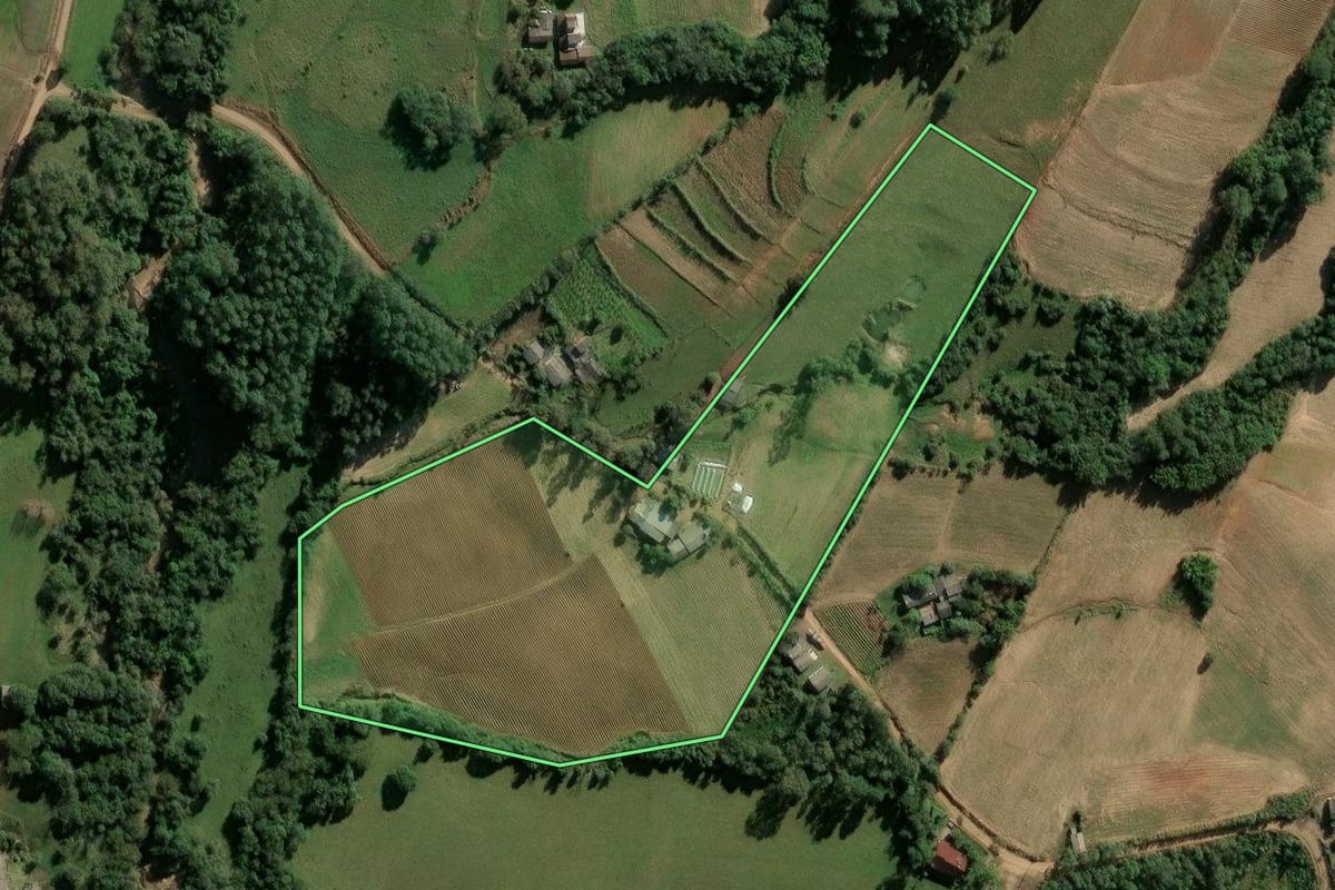 Imagem de satélite do imóvel rural em Candelária (RS), com o contorno declarado no CAR desenhado por cima.