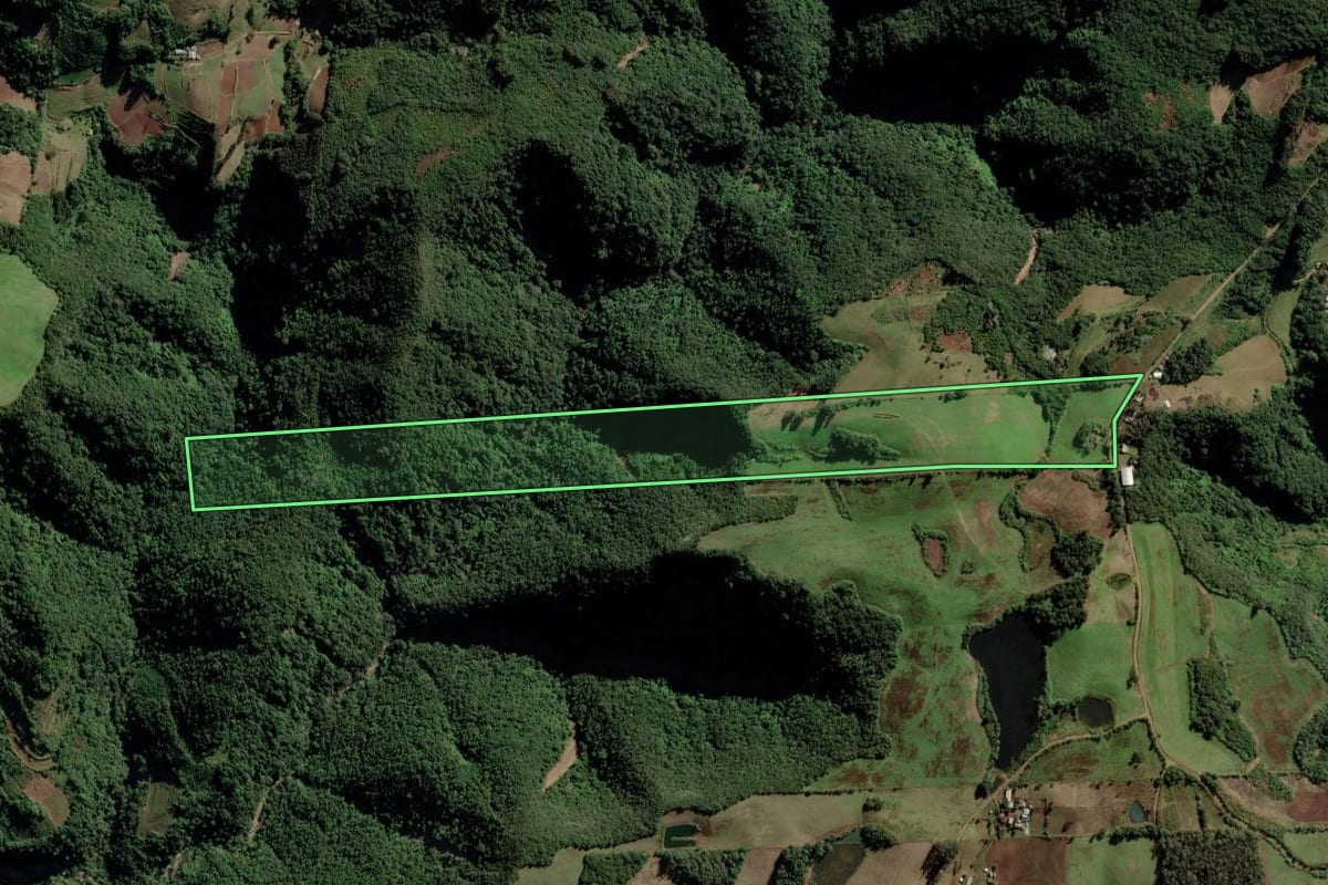 Imagem de satélite do imóvel rural em Candelária (RS), com o contorno declarado no CAR desenhado por cima.