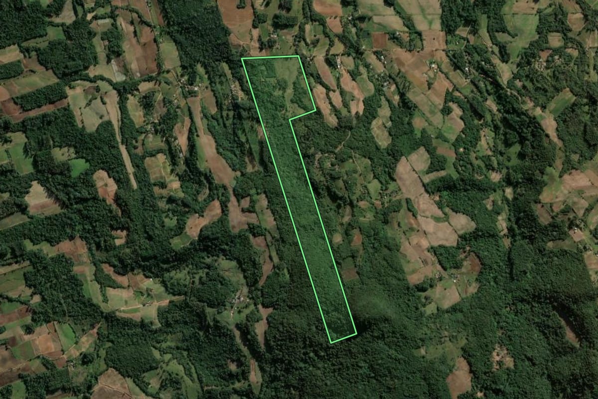 Imagem de satélite do imóvel rural em Candelária (RS), com o contorno declarado no CAR desenhado por cima.