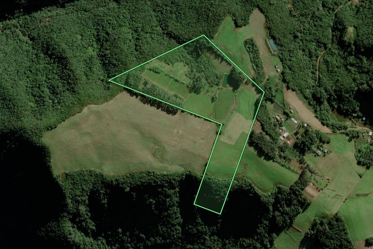 Imagem de satélite do imóvel rural em Candelária (RS), com o contorno declarado no CAR desenhado por cima.