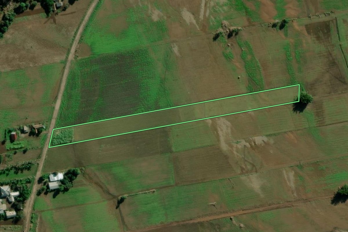 Imagem de satélite do imóvel rural em Candelária (RS), com o contorno declarado no CAR desenhado por cima.