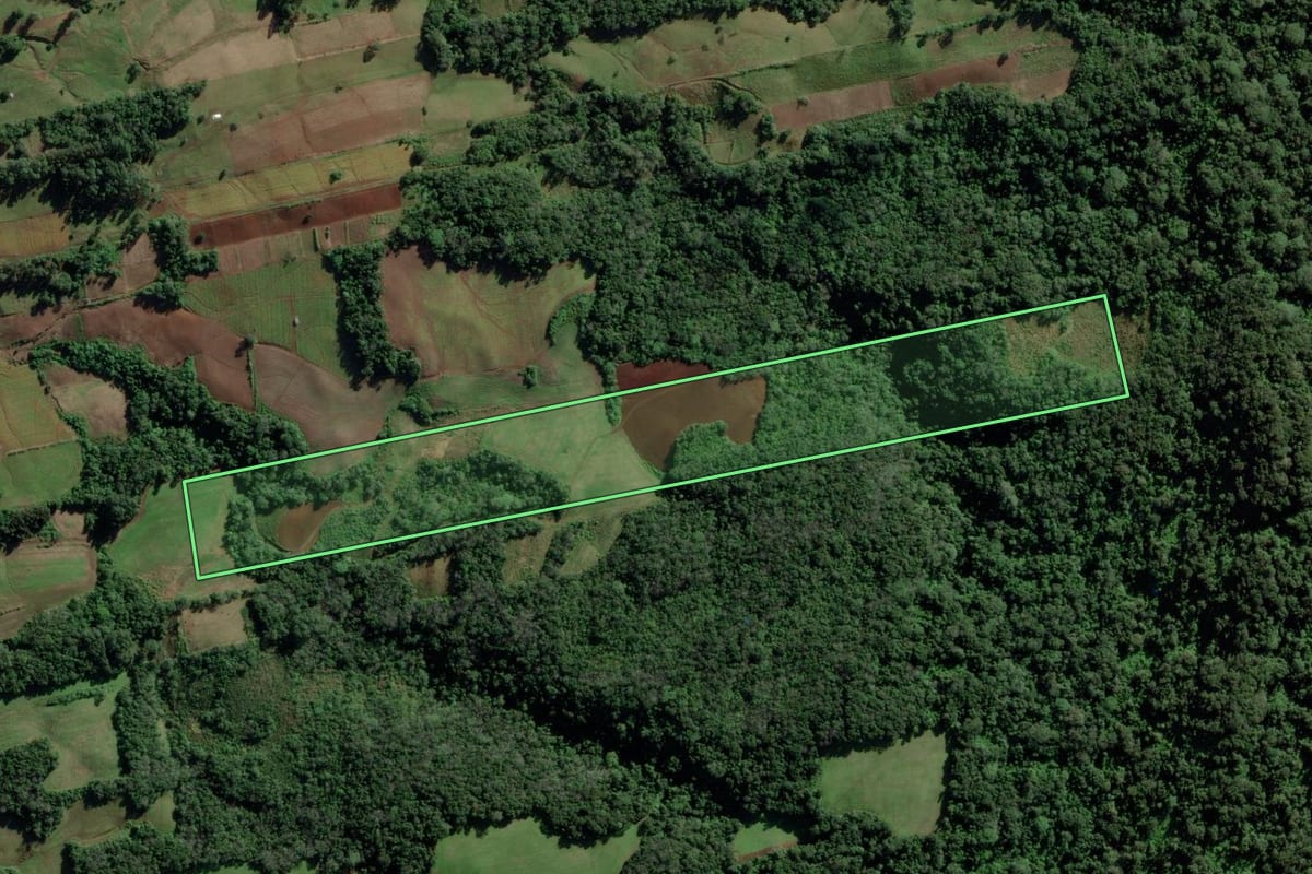 Imagem de satélite do imóvel rural em Candelária (RS), com o contorno declarado no CAR desenhado por cima.