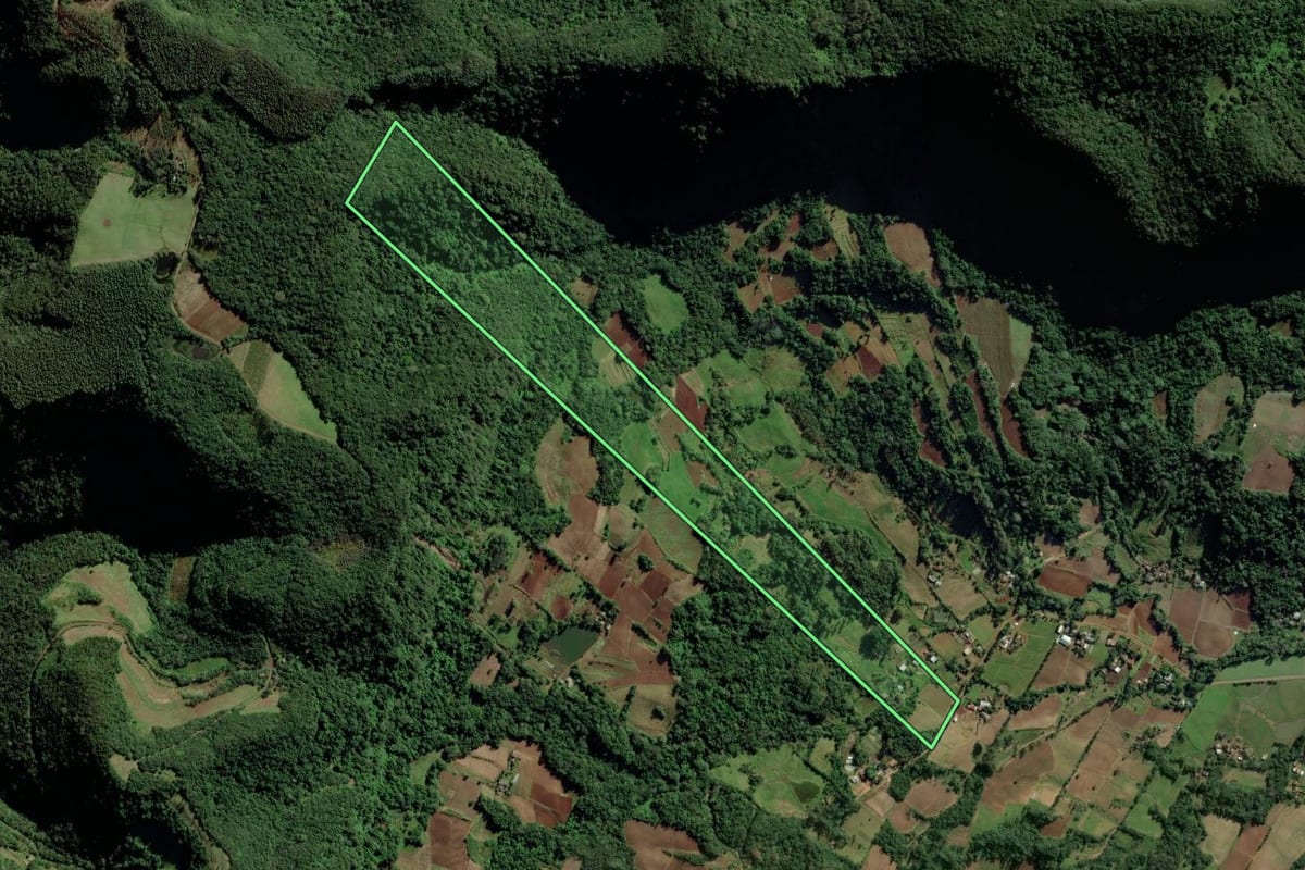 Imagem de satélite do imóvel rural em Candelária (RS), com o contorno declarado no CAR desenhado por cima.
